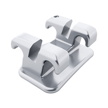 托槽 (Brackets)