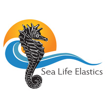 Sea Life 無乳膠橡皮筋